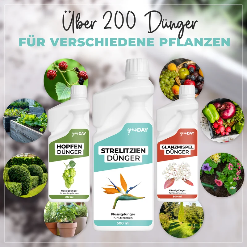 Strelitzien-Flüssigdünger 500 ml