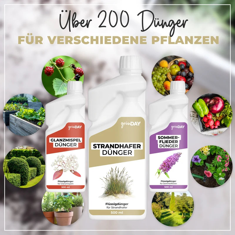 Strandhafer-Flüssigdünger 500 ml