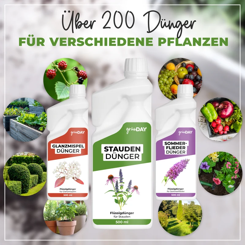Stauden-Flüssigdünger 500 ml