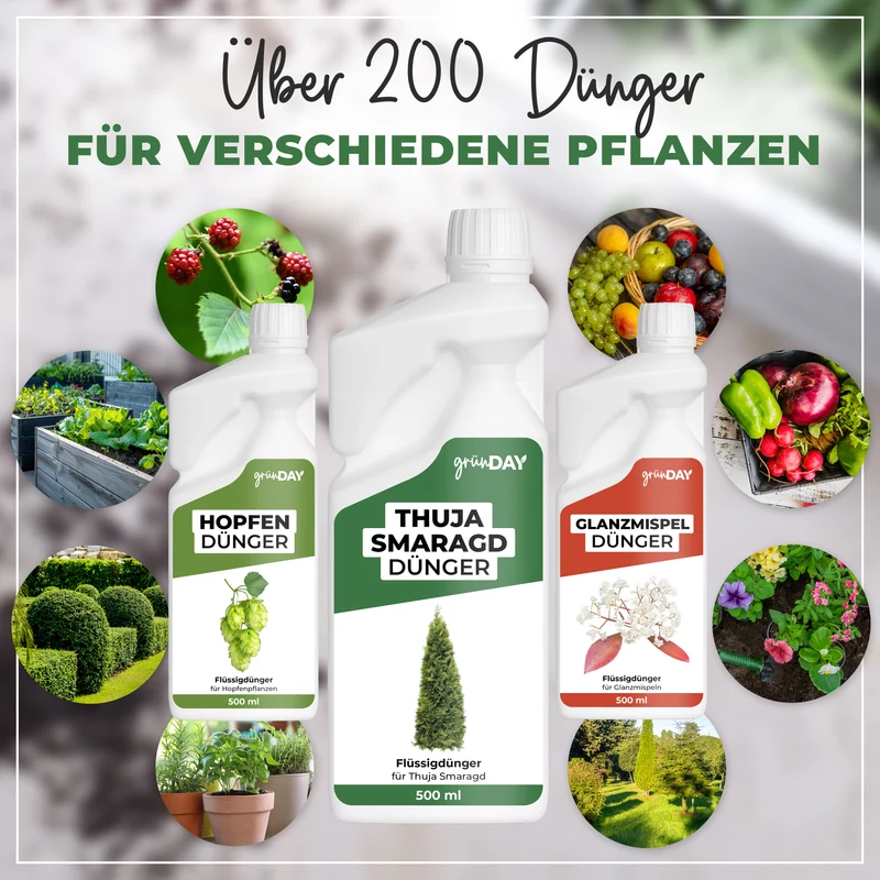 Thuja Smaragd-Flüssigdünger 500 ml