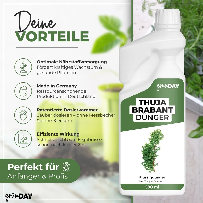 Thuja Brabant-Flüssigdünger 500 ml
