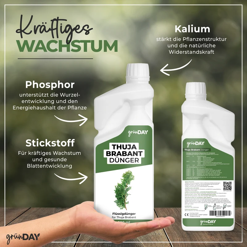 Thuja Brabant-Flüssigdünger 500 ml