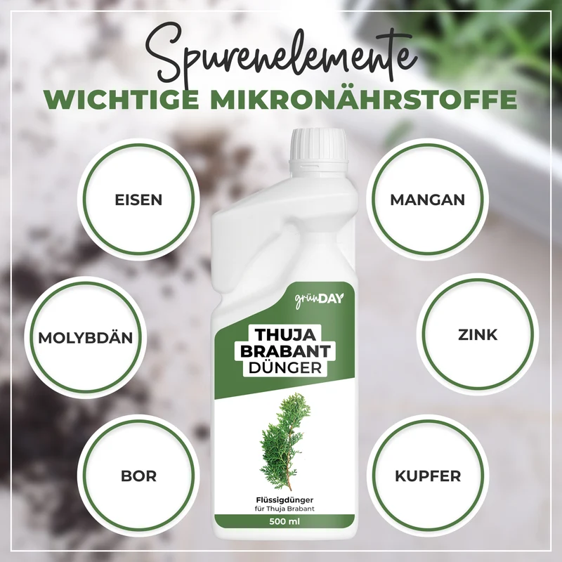 Thuja Brabant-Flüssigdünger 500 ml
