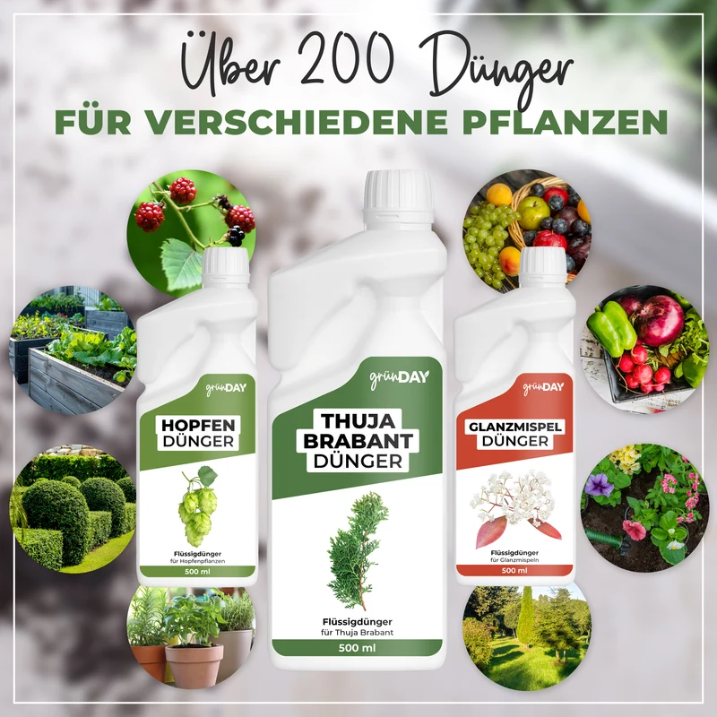 Thuja Brabant-Flüssigdünger 500 ml