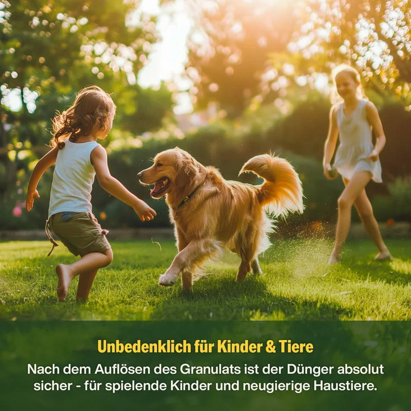 Sommer-Rasenpflege-Set