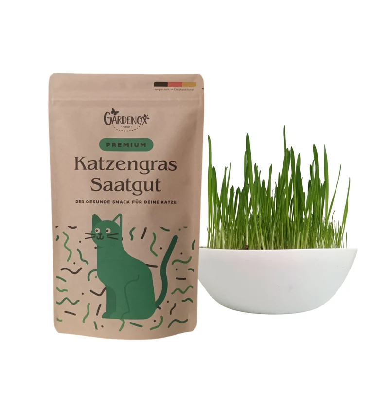 200g Katzengras Samen + Katzenminze
