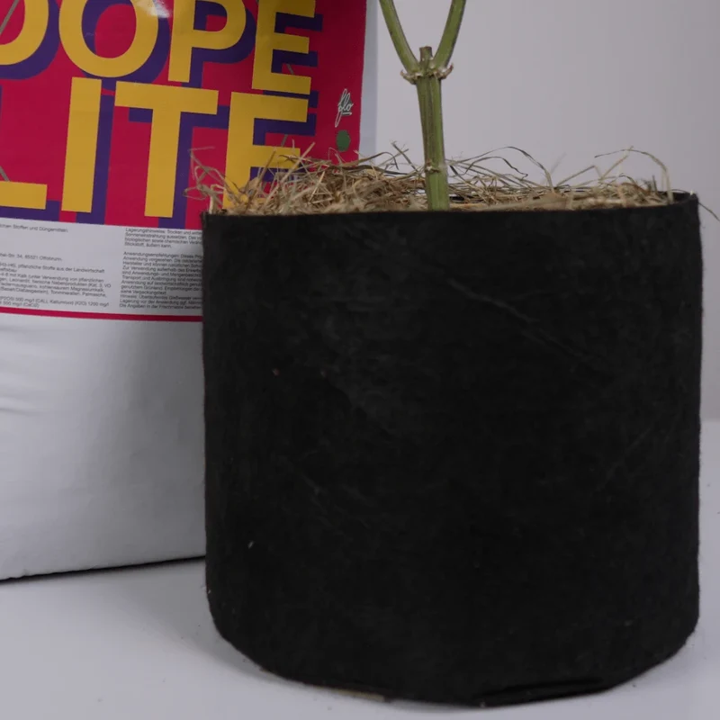 DOPE LITE - Living Soil à la Chef