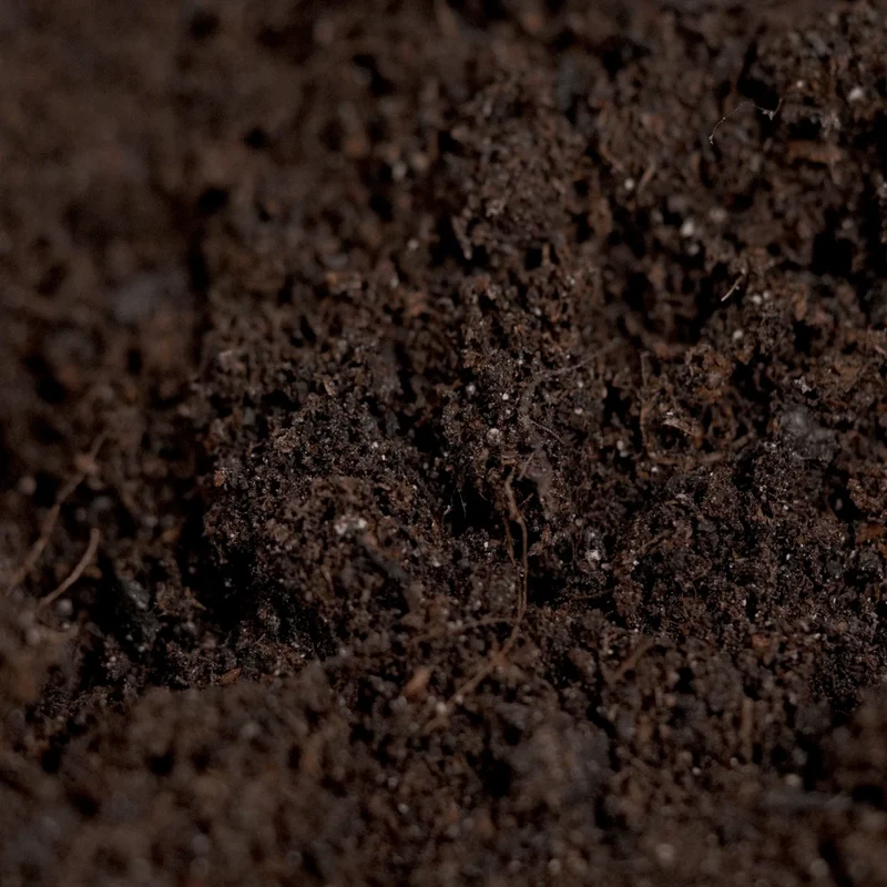 DOPE SOIL - Living Soil mit extra CalMag