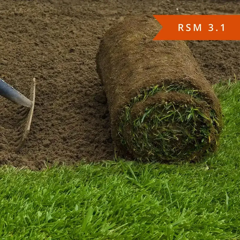 Sportrasen RSM 3.1