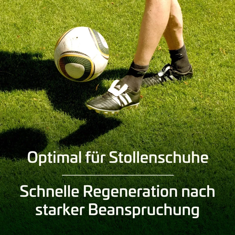 Sportrasen RSM 3.1