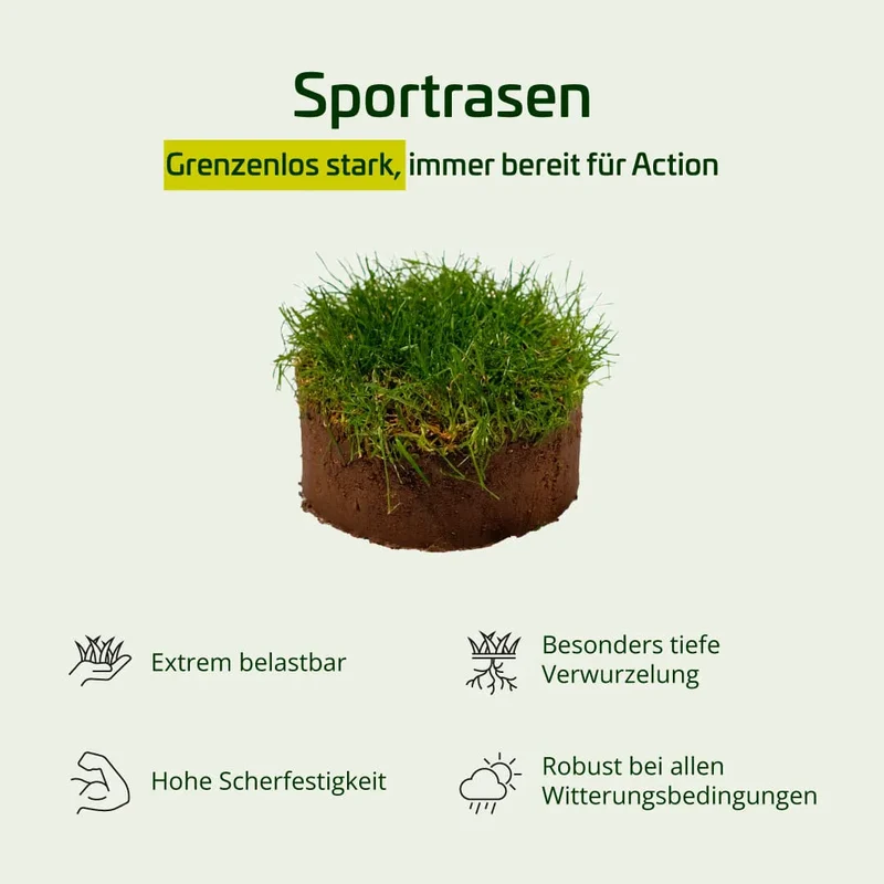 Sportrasen RSM 3.1