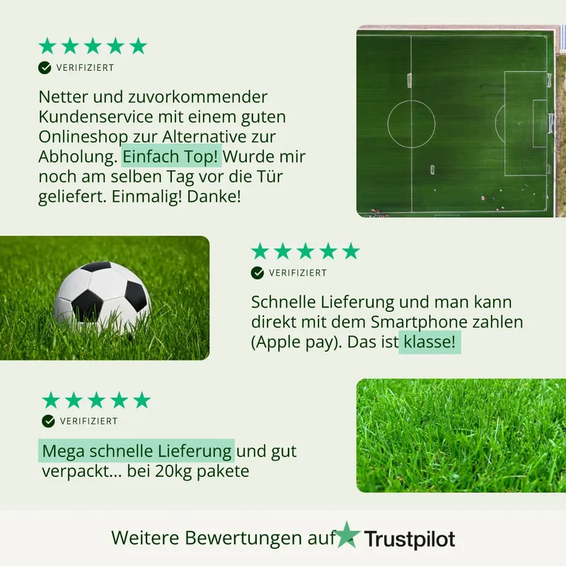 Sportrasen RSM 3.1