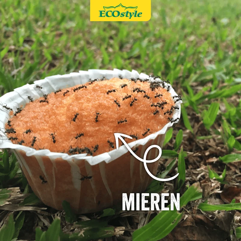 Aaltjes tegen mieren