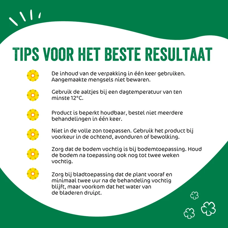 Aaltjes tegen mieren