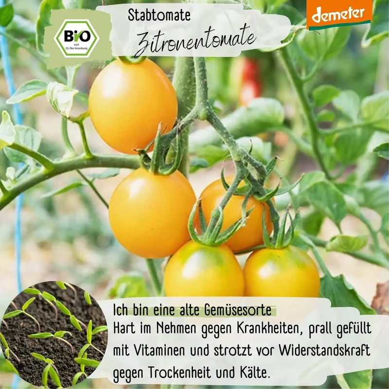Demeter Zitronentomaten Samen
