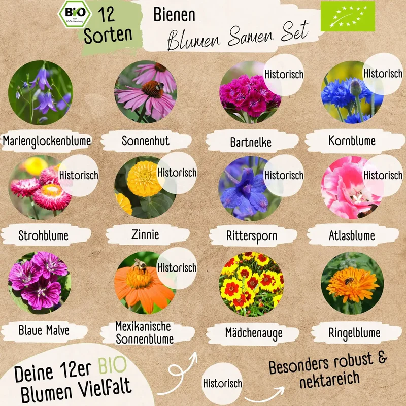 Dein 12 Bio Bienen Blumensamen Set