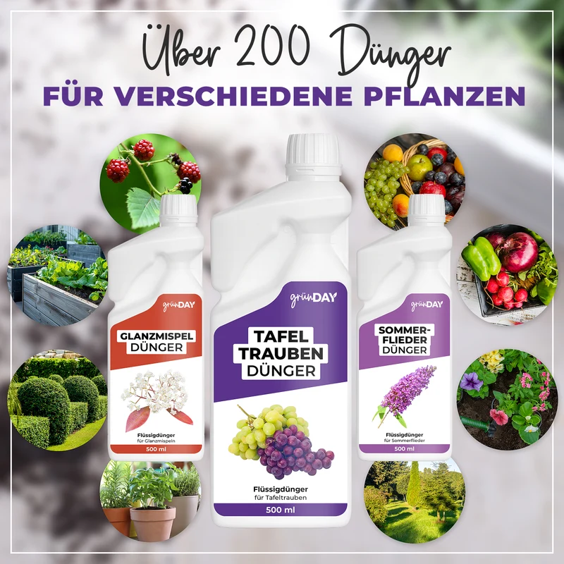 Tafeltrauben-Flüssigdünger 500 ml