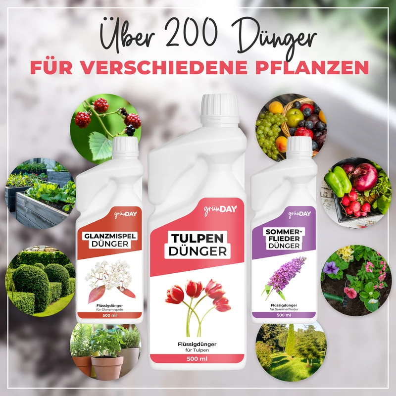 Tulpen-Flüssigdünger 500 ml