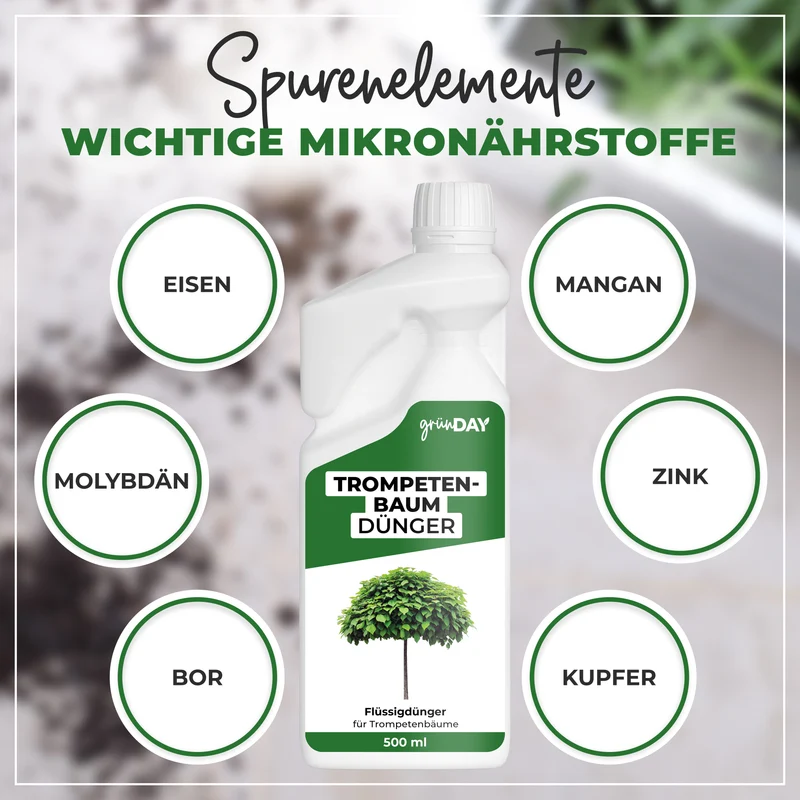 Trompetenbaum-Flüssigdünger 500 ml