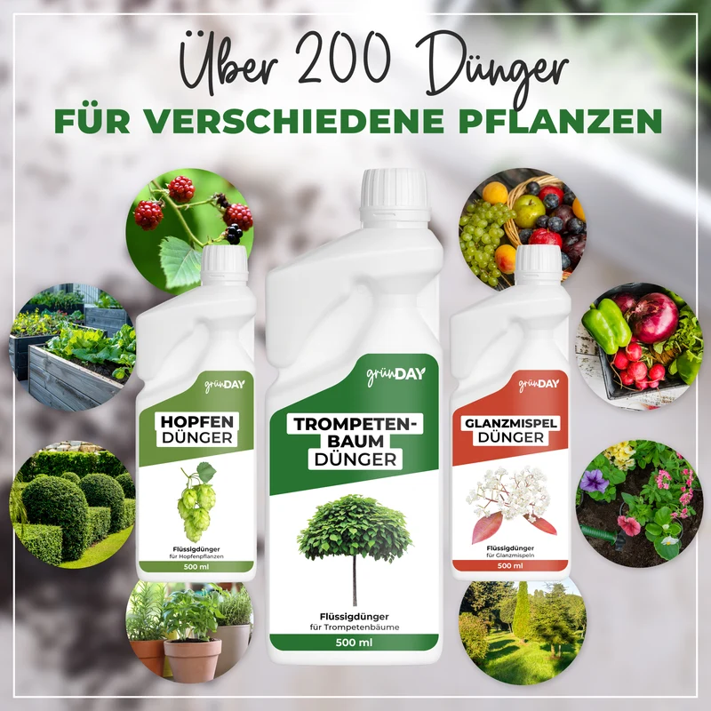 Trompetenbaum-Flüssigdünger 500 ml