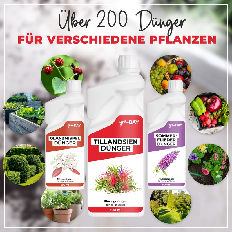 Tillandsien-Flüssigdünger 500 ml