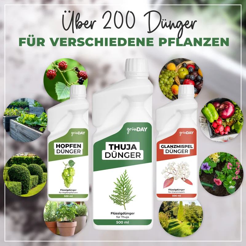 Thuja-Flüssigdünger 500 ml