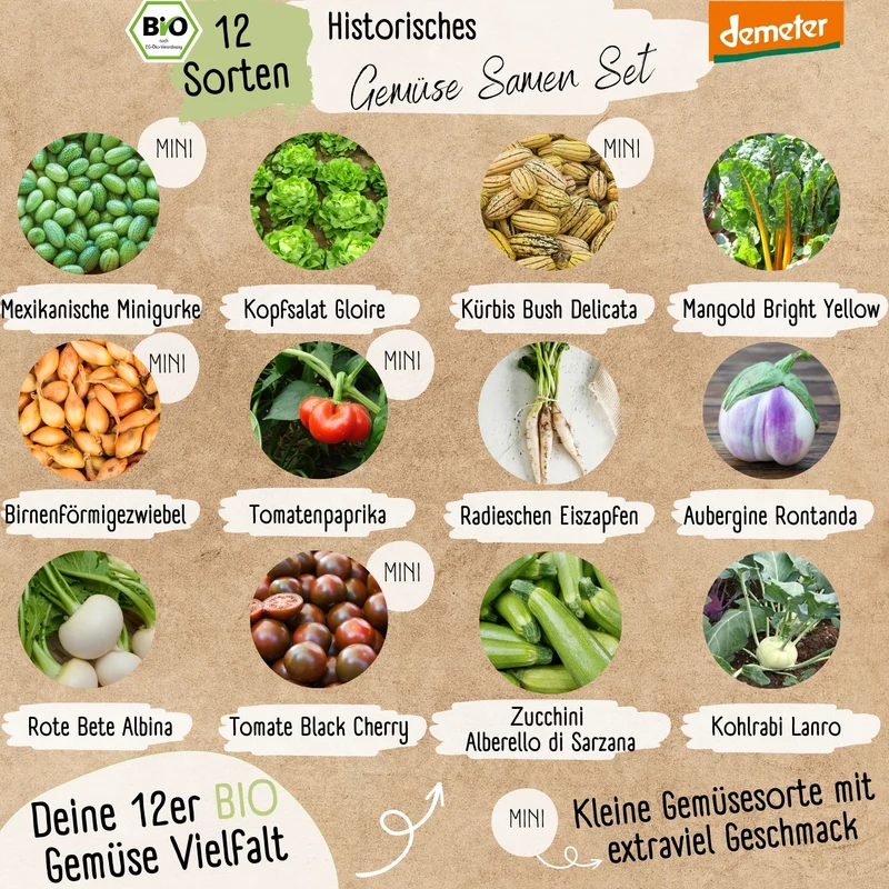 Historisches Gemüse Starter Set