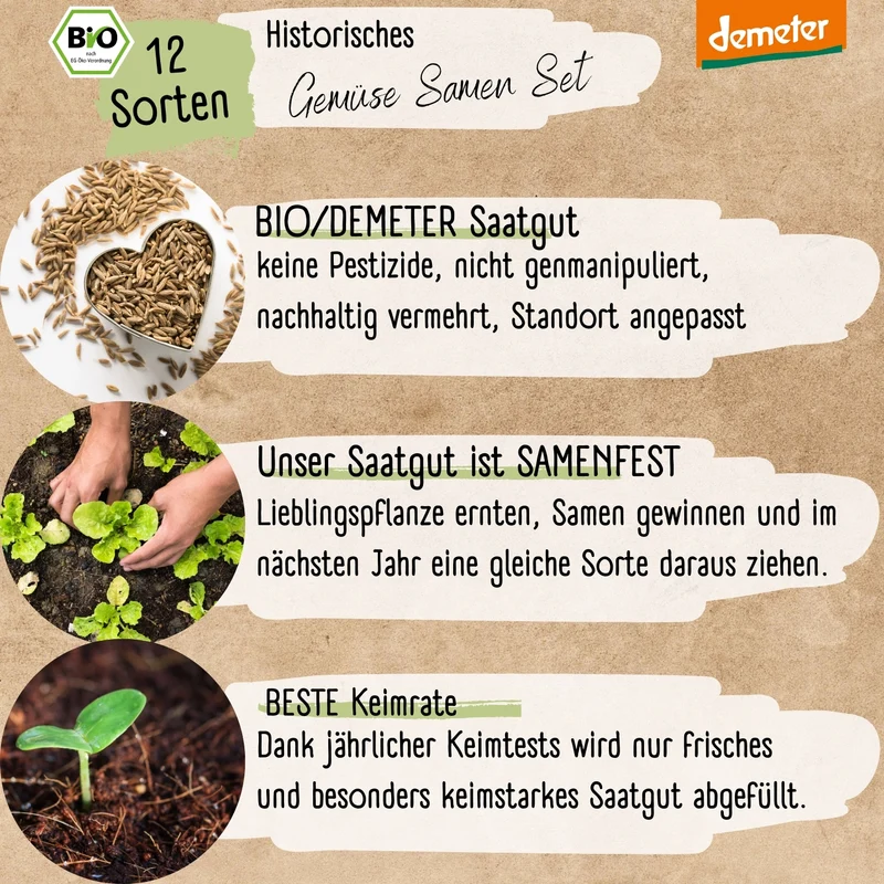 Historisches Gemüse Starter Set