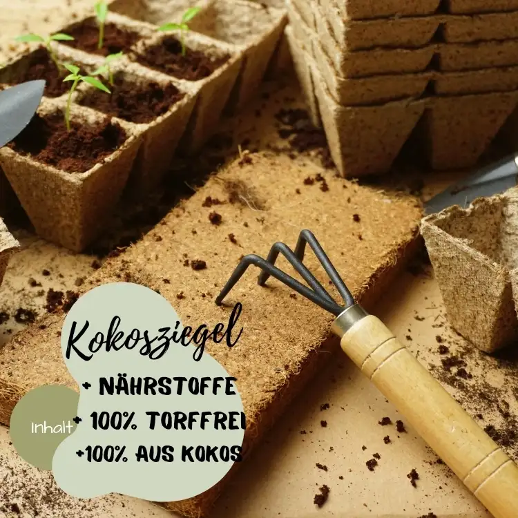 Historisches Gemüse Starter Set