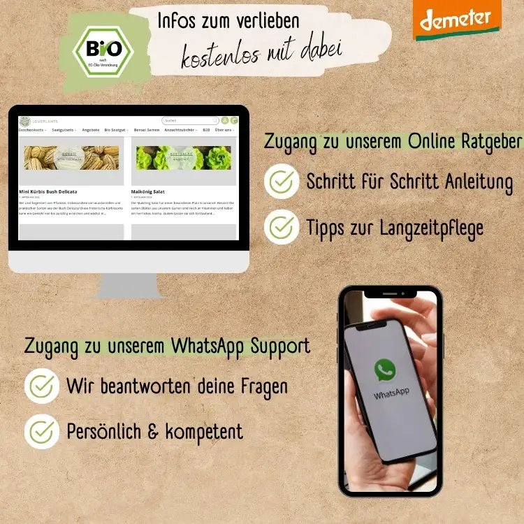 Dein 12 Demeter Historisches Gemüse Samen Set