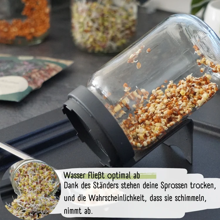 Sprossendeckel blau
