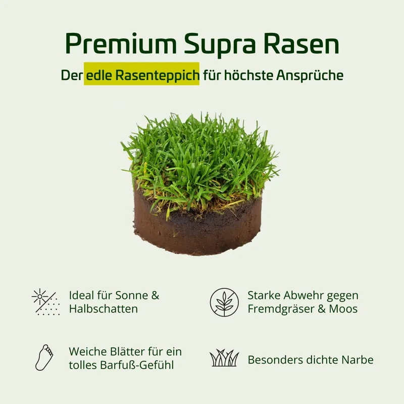 Premium Supra Rasen