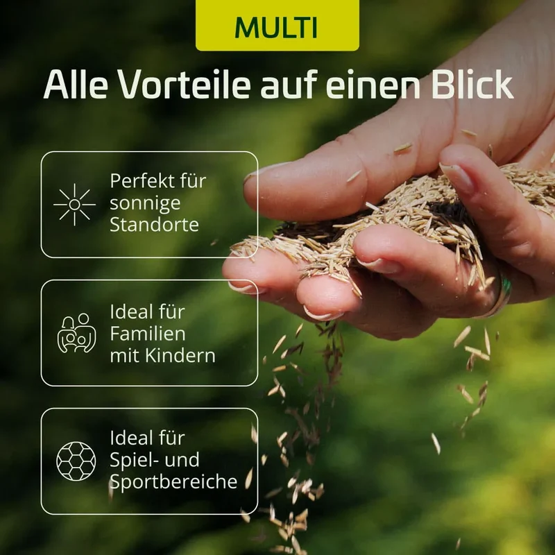 Rasensaat "Multi" Spiel- und Freizeitrasen