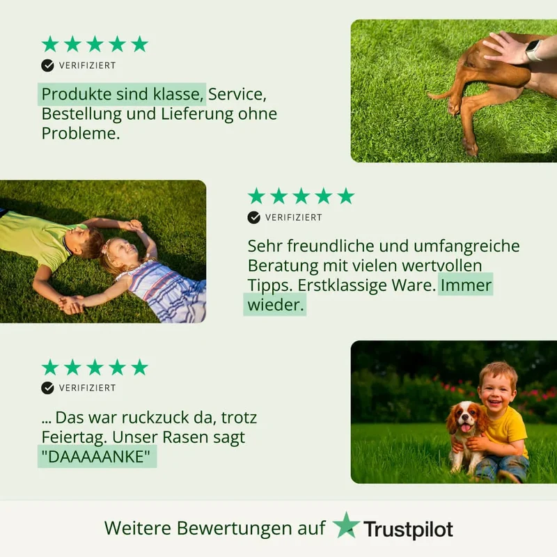 Rasensaat "Multi" Spiel- und Freizeitrasen