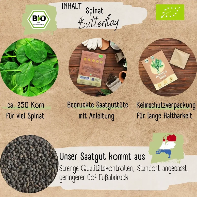 Bio Spinat Samen
