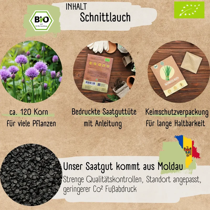 Bio Schnittlauch Samen