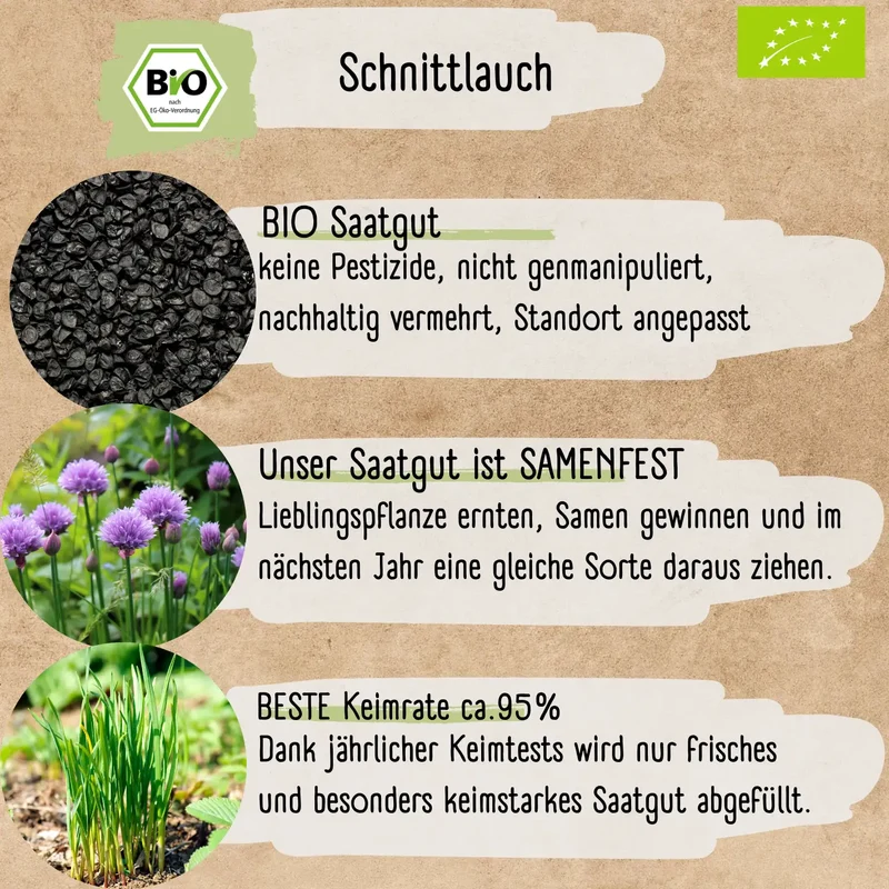 Bio Schnittlauch Samen