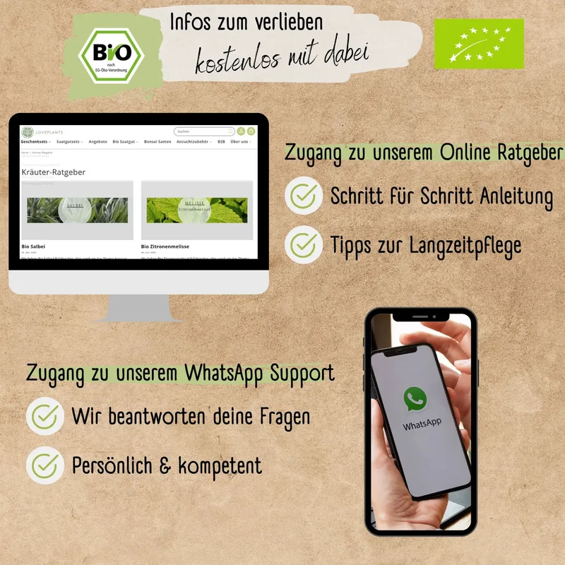 Bio Salbei Samen