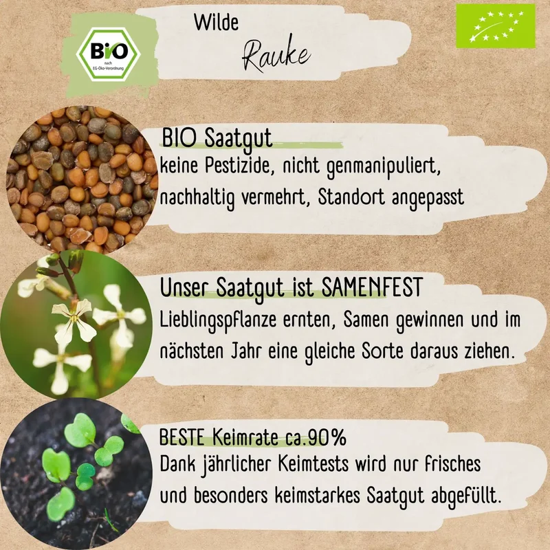 Bio Wilde Rauke Samen