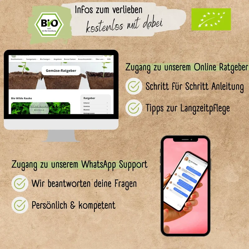Bio Wilde Rauke Samen