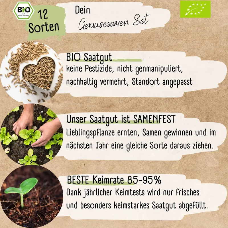 Gemüse Starter Set