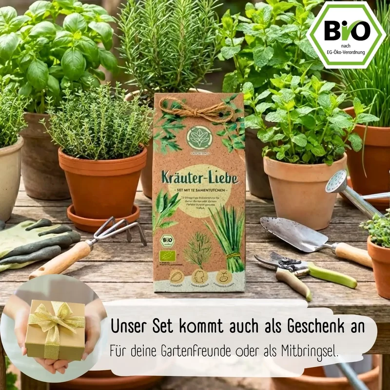 Dein 12 Bio Kräutersamen Set