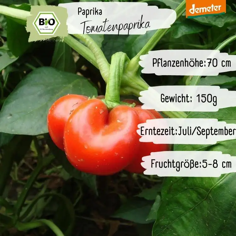 Demeter Tomatenpaprika Samen