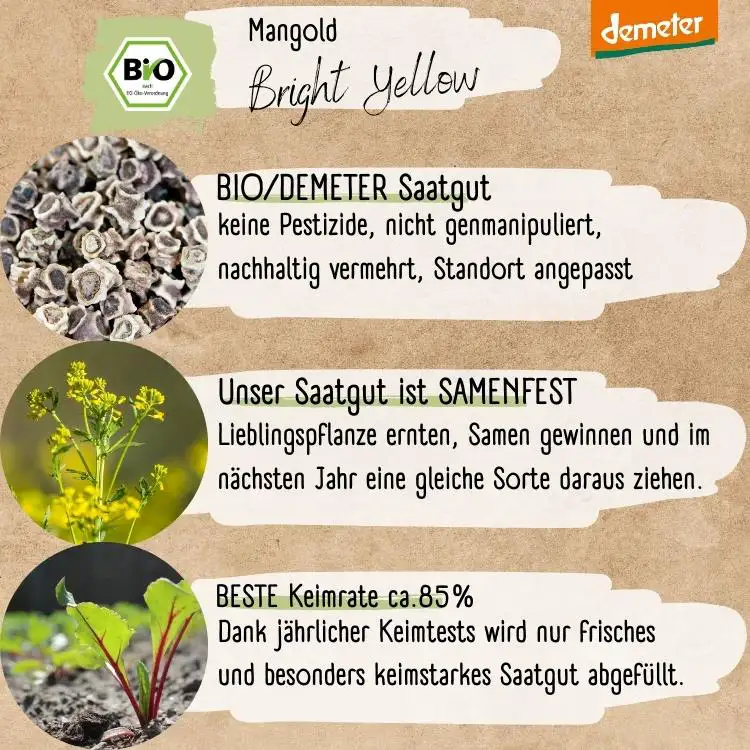 Demeter Mangold Bright Yellow Samen