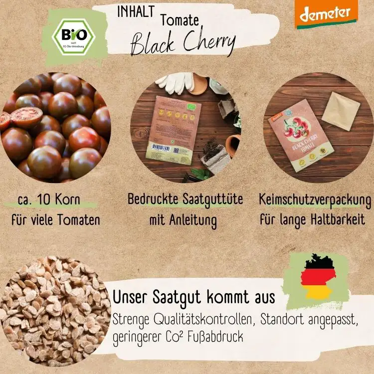 Demeter Black Cherry Samen