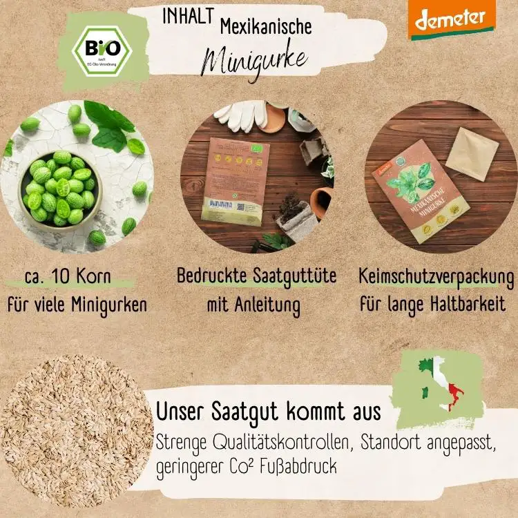 Demeter Mexikanische Minigurken Samen