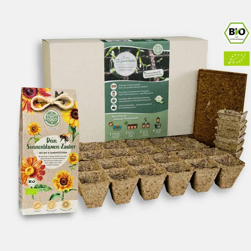 Sonnenblumen Starter Set