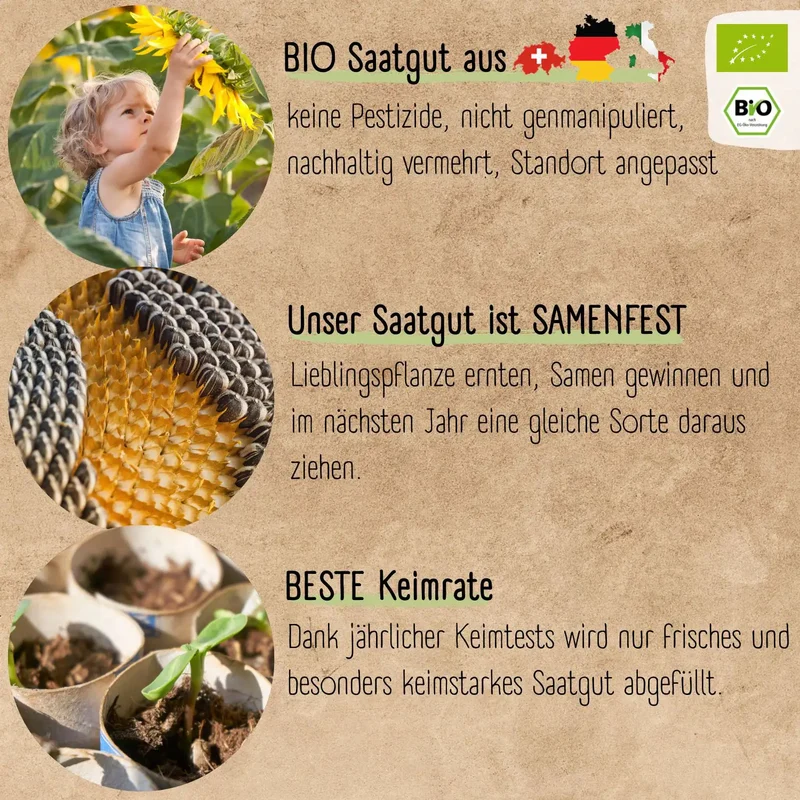 Sonnenblumen Starter Set
