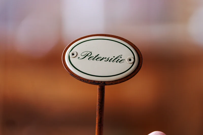 Pflanzschilder fürs Kräuterbeet