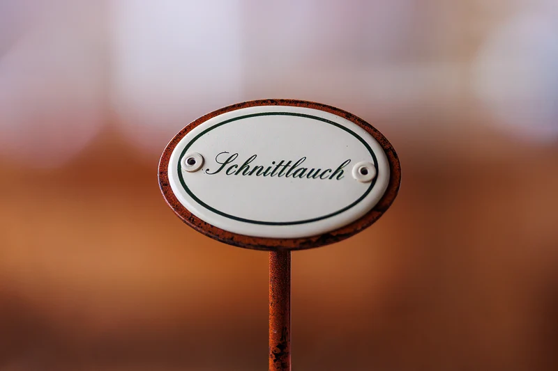 Pflanzschilder fürs Kräuterbeet